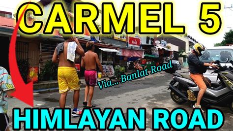 himlayan tandang sora|Contact Us .